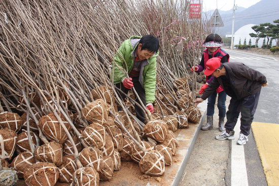 옥천 가볼만한곳 베스트10