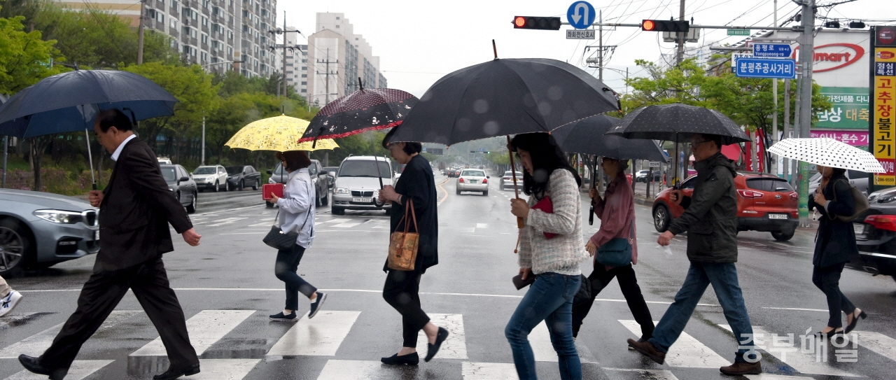 미세먼지 씻는 봄비일요일인 22일 청주일원에 비가 내리면서 주말에 찾아왔던 때 이른 더위는 물러가고 미세먼지도 씻어내 양호한 수준을 보이고 있는 가운데 휴일 오후 거리에 나선 사람들의 우산 행렬이 이어지고 있다. / 김용수
