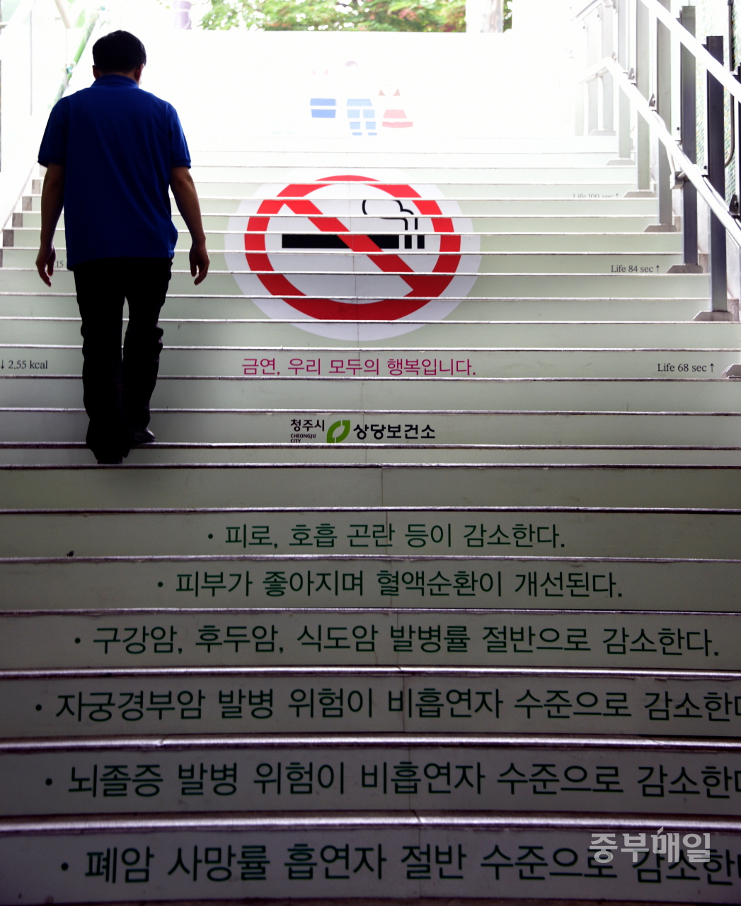매년 5월 31일은 세계보건기구(WHO)가 담배 없는 환경을 만들기 위하여 1987년 제정한 ‘세계 금연의 날’이다. 금연을 하면 폐암, 구강암, 식도암 등의 발병률을 절반으로 줄일 수 있고 뇌졸중 발병 위험도 줄어든다. / 김용수