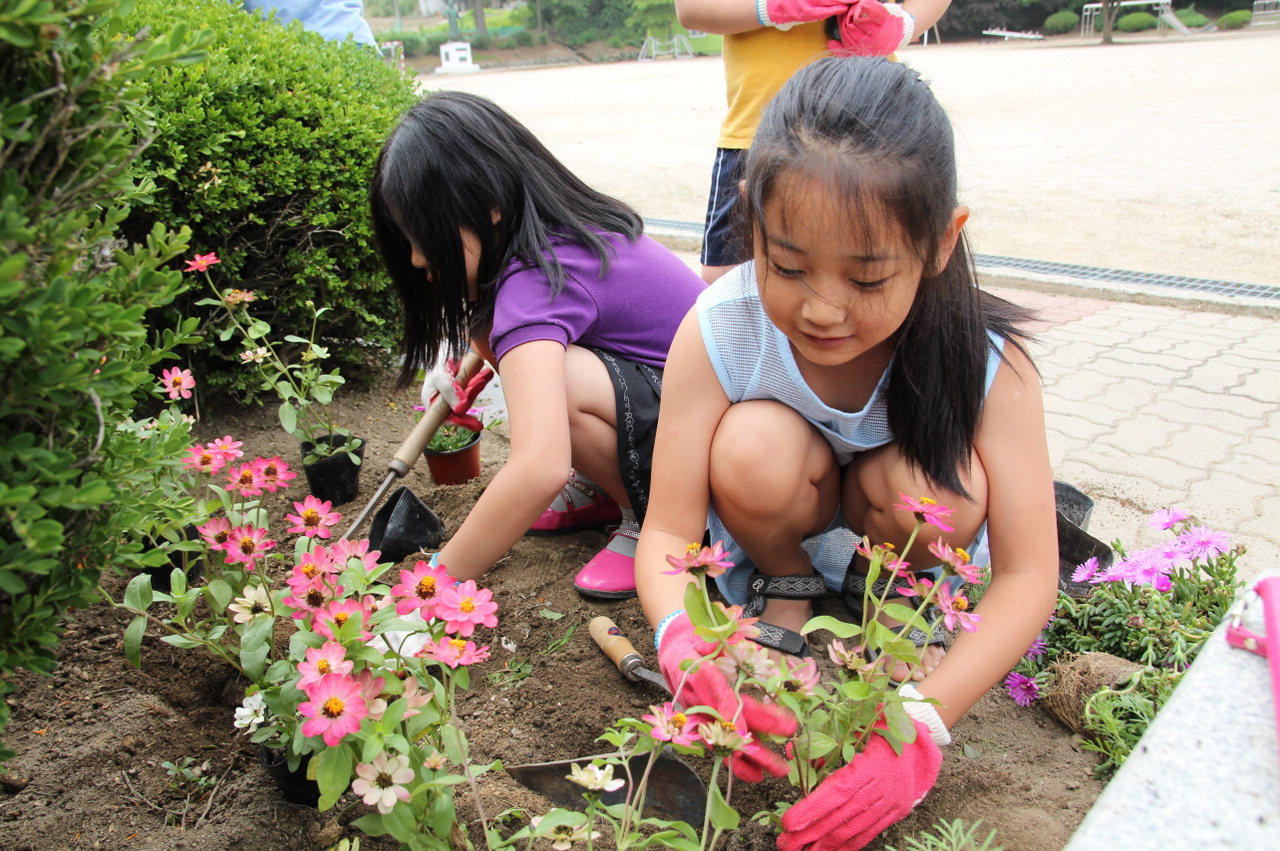 보은 수한초 학생들이 18일 학교 화단에 다양한 식물을 심으며 꽃동산을 만들고 있다.