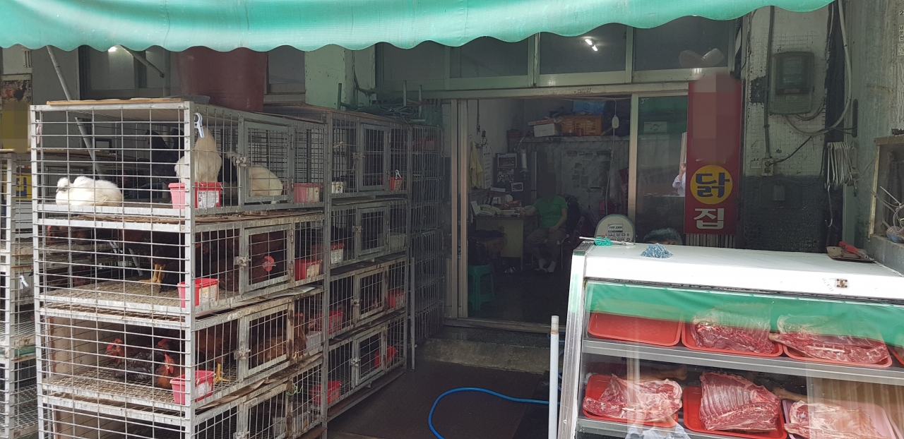 복날을 일주일 앞둔 10일 청주 육거리시장 토종닭 거리의 닭 판매장에는 팔리지 않은 닭과 개고기가 닭장과 냉장고에 그대로 남아있다. / 안성수