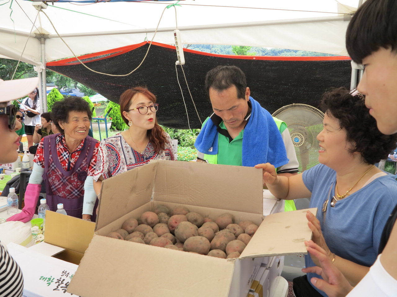 축제장을 찾은 도시민들이 감자를 구매하고 있다. / 옥천군청 제공