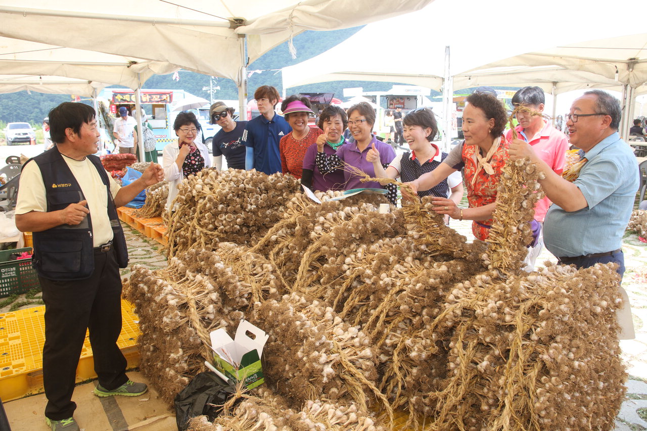 단양마늘축제에 전국 각지에서 소비자가 몰리며 2억3천만원 어치를 판매한 것으로 나타났다./단양군 제공