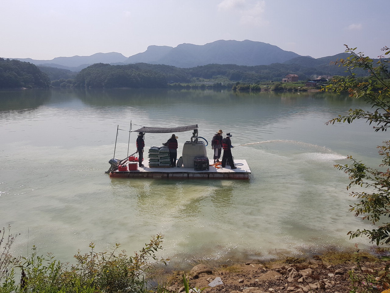 한국농어촌공사 옥천영동지사는 수상보트를 이용해 저수지에 녹조제거제를 살포하고 있다. / 한국농어촌공사 옥천영동지사 제공