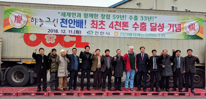 천안시와 천안배원예농협은 11일 율금유통센터(APC)에서 시 관계자, 농협 관계자, 수출농업인 등이 참석한 가운데 올해 천안배 수출 4천톤 달성 기념식을 열었다고 밝혔다. / 천안시