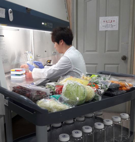 대전시 보건환경연구원은 봄철 소포장 채소 및 과일 등을 대상으로 식중독균 18종에 대한 검사를 실시한다. / 대전시