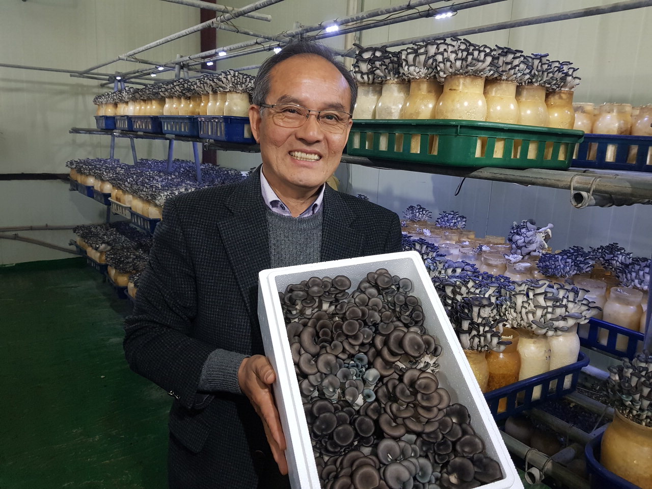 중소기업 연구원이었던 오춘식 나경농산 대표는 귀농 이후 연매출 수억원에 달하는 지역 대표 '느타리버섯' 농장을 운영하고 있다. /이완종