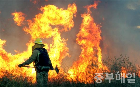 2011년 충북 영동군에서 발생한 산불 진화 모습. / 중부매일DB