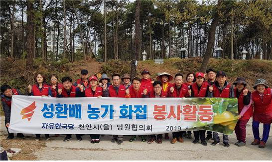 유한국당 천안시(을) 당원협의회 주요당원 30여명이 18일 천안시 성환읍 소재 배 농가를 찾아 화접봉사를 실시하고 기념촬영하고 있다. /자유한국당 제공
