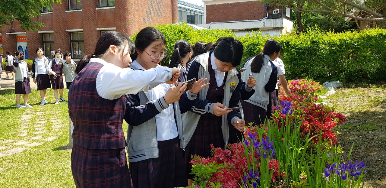 청주여중 학생들이 8일 교정의 봄식물을 관찰하며 생태감성교육을 하고 있다. / 청주여중