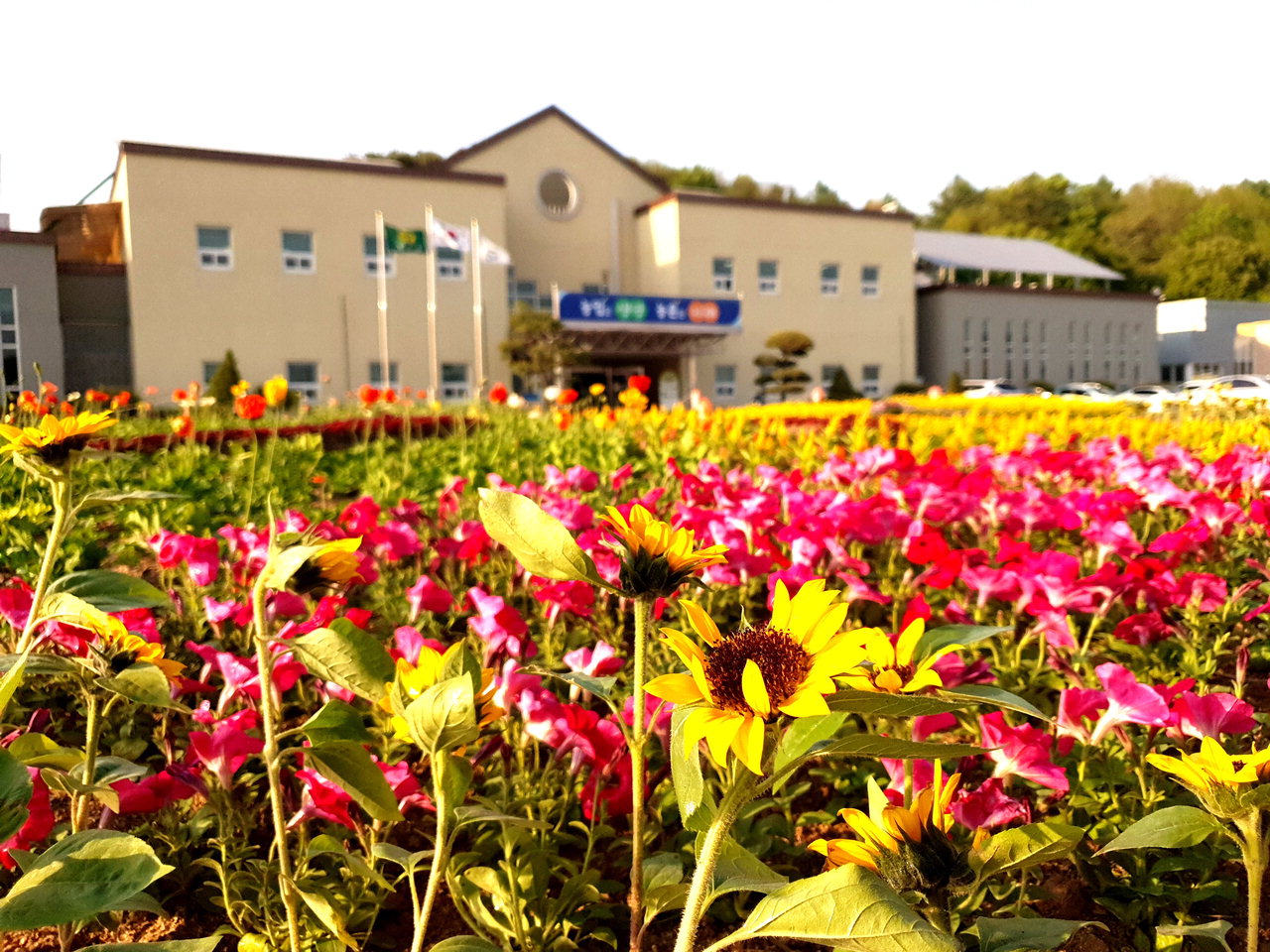 봄 색깔 자연치유'행사가 열리는 농기센터 정원/제천시 제공
