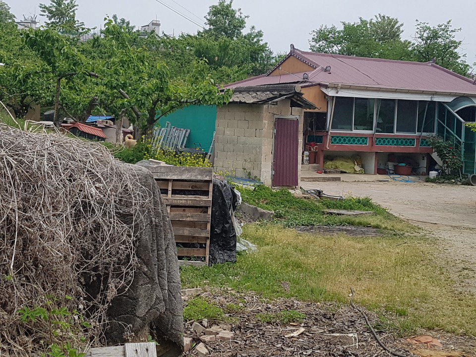 창고가 없어 농기계는 비닐과 천에 덮혀 마당에서 보관되고 있다. 유창림/천안<br>