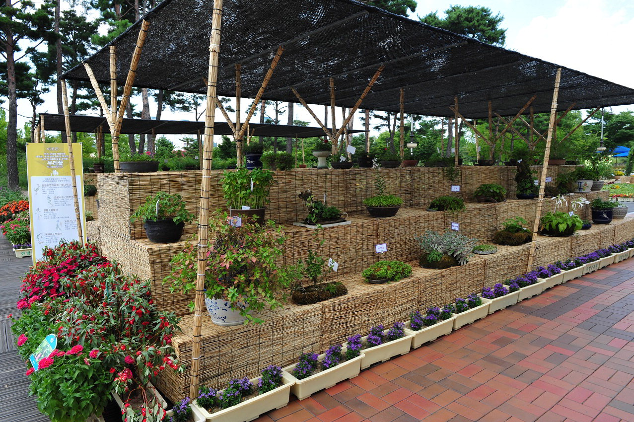 대전시는 오는 24일~6월 9일까지 한밭수목원 진입광장 일원에서 '제26회 우리꽃 전통생활식물 전시회'를 개최한다. / 대전시