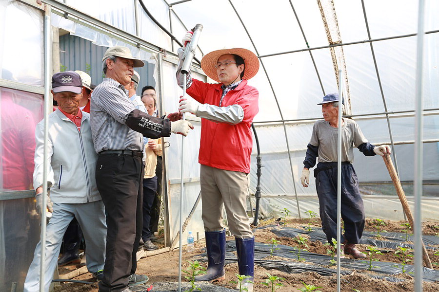 자유한국당 황교안 대표가 14일 제천시 송학면 무도리 한 농가에서 고춧대가 쓰러지지 않도록 지주대를 설치하고 있다.