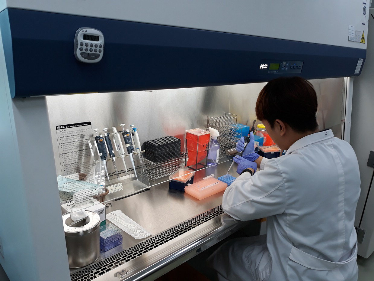 대전보건환경연구원은 감염병 진단검사법 및 실험실 검사 역량을 크게 확충했다. / 대전시