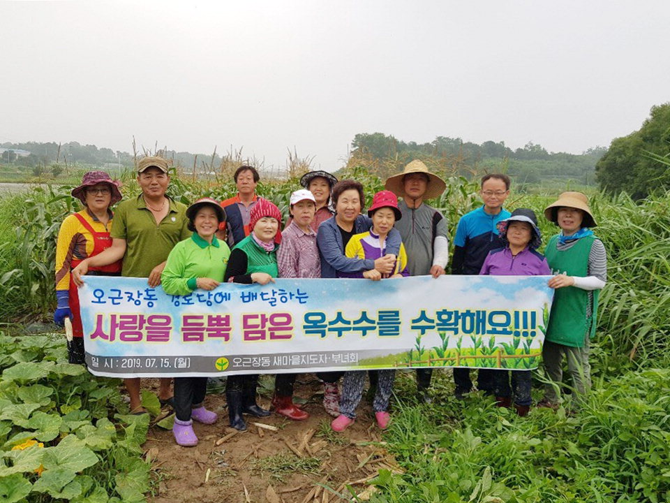 청주시 청원구 오근장동 새마을 남·여지도자는 15일 사랑의 옥수수 수확 행사를 가졌다.