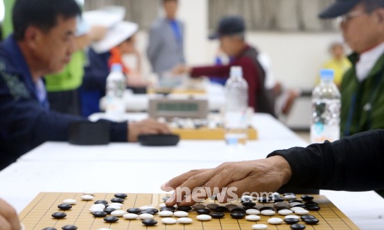 25일 보은군 보은군청 대회의실에서 열린 '제53회 충북도민체육대회 바둑경기'에 출전한 각 시·군 선수들이 열띤 경기를 벌이고 있다./신동빈