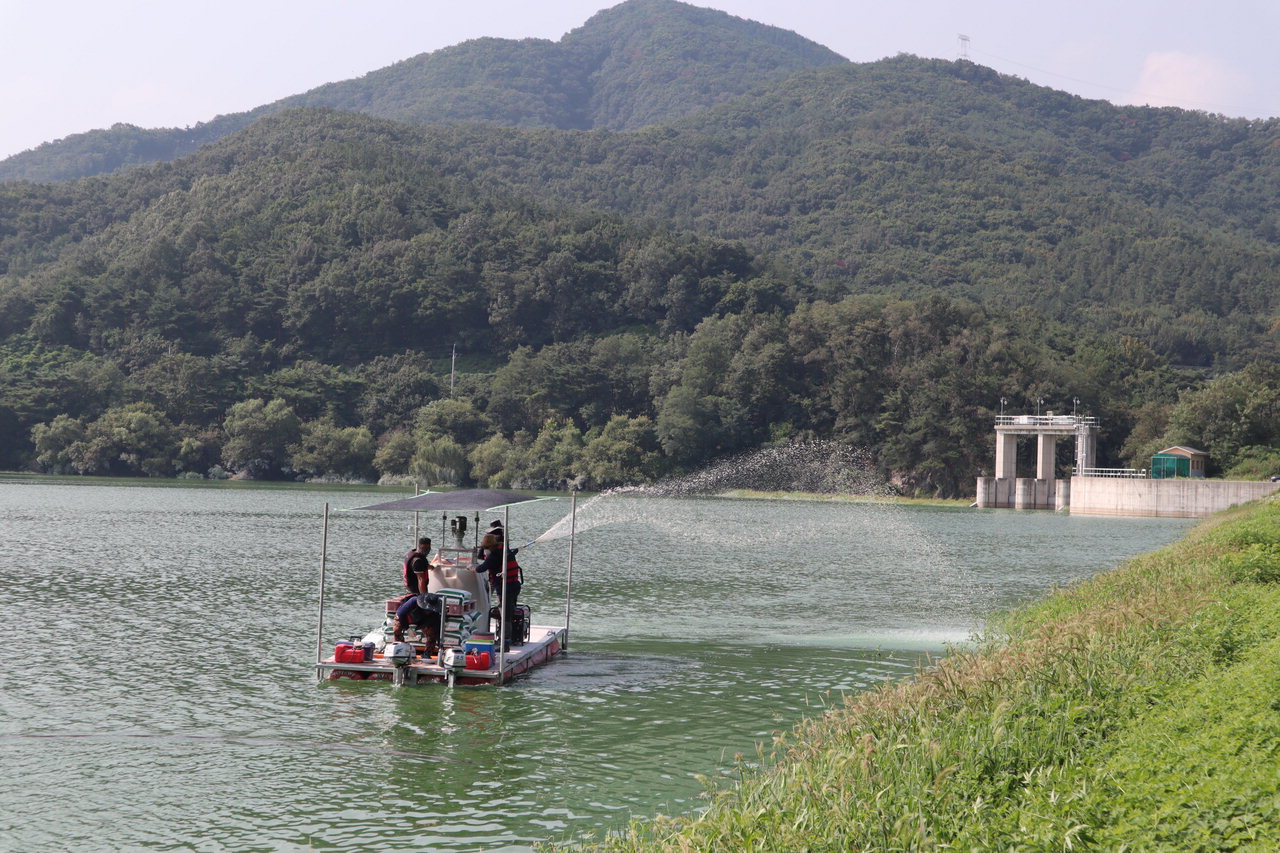 한국농어촌공사 아산지사 관계자들이 도고저수지에서 녹조 방제작업을 실시하고 있다. 한국농어촌공사 아산지사 제공