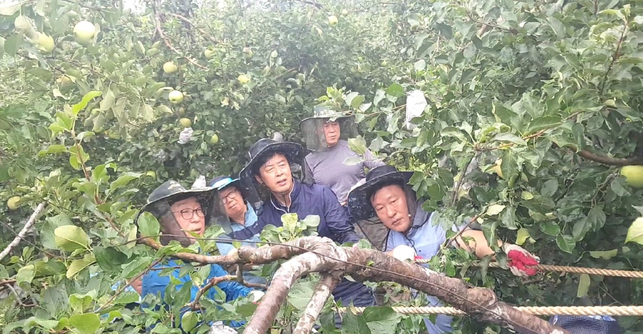 충북농협은 9일 도내 태풍 피해 농가의 피해복구와 농작물 수확지원에 나섰다. /충북농협 제공