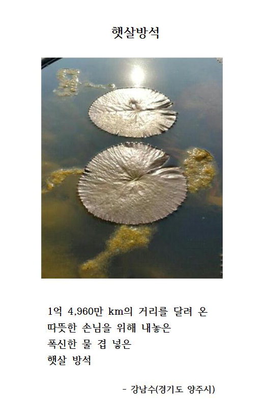 제2회 오장환디카시신인문학상' 당선작으로 선정된 강남수씨와 작품 '햇살방석'