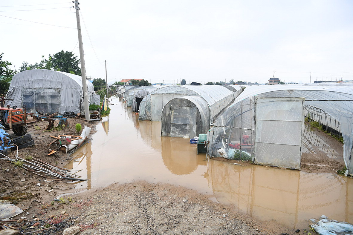 예산군은 지난 7월 25일 집중호우로 인해 피해를 입은 농가들에 대해 피해 복구비를 지원한다. / 예산군 제공