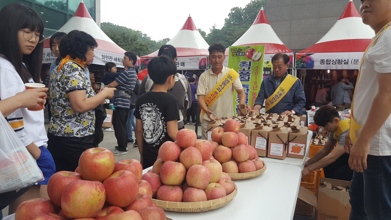 영동군은 지난 4~6일까지 열린 제10회 대한민국 와인축제 기간에 국내육성품종 사과들을 선보여 방문객들의 호응을 얻었다. / 영동군 제공
