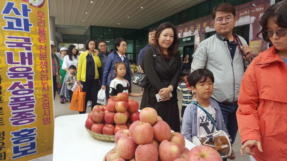 영동군은 지난 4~6일까지 열린 제10회 대한민국 와인축제 기간에 국내육성품종 사과들을 선보여 방문객들의 호응을 얻었다. / 영동군 제공