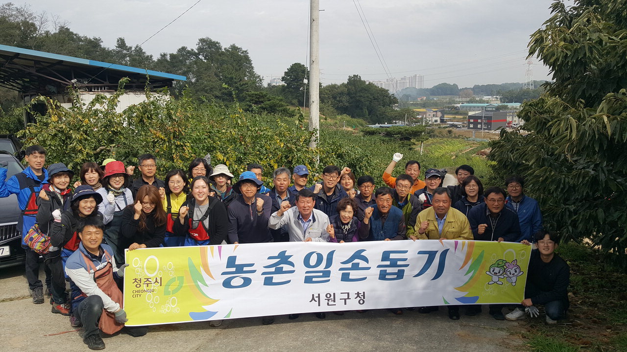 청주시 서원구 직원 37명은 지난 18일 석곡동 대추농가를 방문, 가을철 일손 돕기를 실시했다.