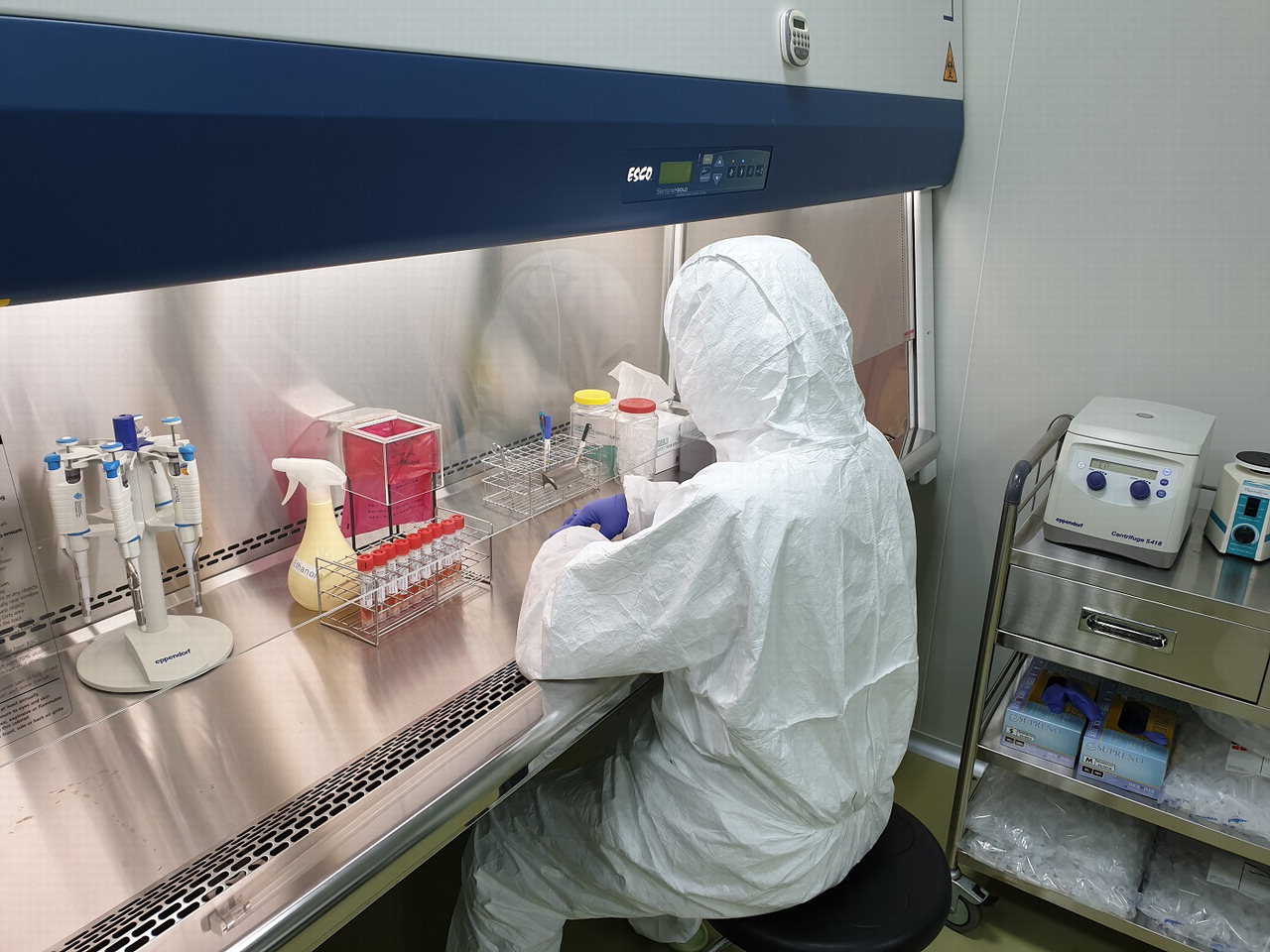 대전시보건환경연구원은 지난주 의뢰된 검체에서 대전지역 첫 계절 인플루엔자 바이러스를 검출(H3N1)했다. / 대전시 제공