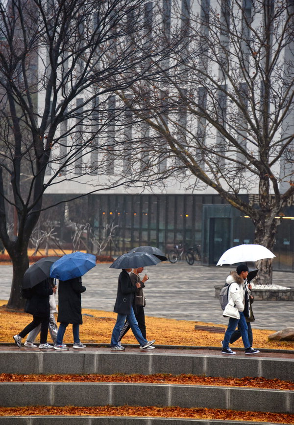 포근한 날씨를 보이며 청주일원에 비가 내린 17일 청주의 한 대학캠퍼스에서 나뭇잎이 떨어져 빈 가지만 남은 나무아래서 학생들의 우산행렬이 이어지고 있다. / 김용수