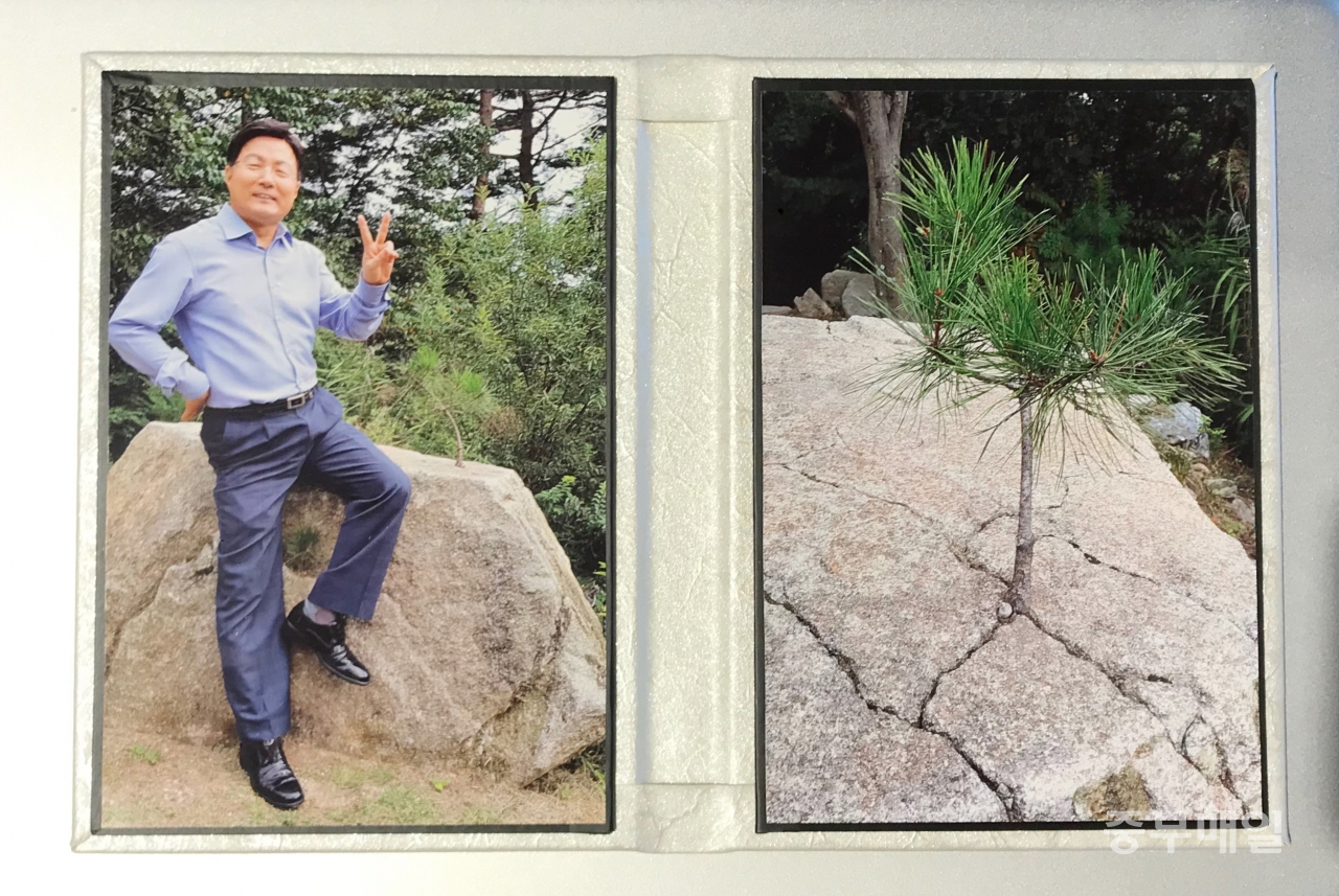 김형근 한국가스안전공사 사장의 사무실 책상위를 지키고 있는 소나무 사진(사진 오른쪽). 2018년 간부워크숍 때 찍은 사진으로, 김 사장은 시련이 닥칠 때마다 이 소나무사진을 보면서 이겨냈다고 했다.