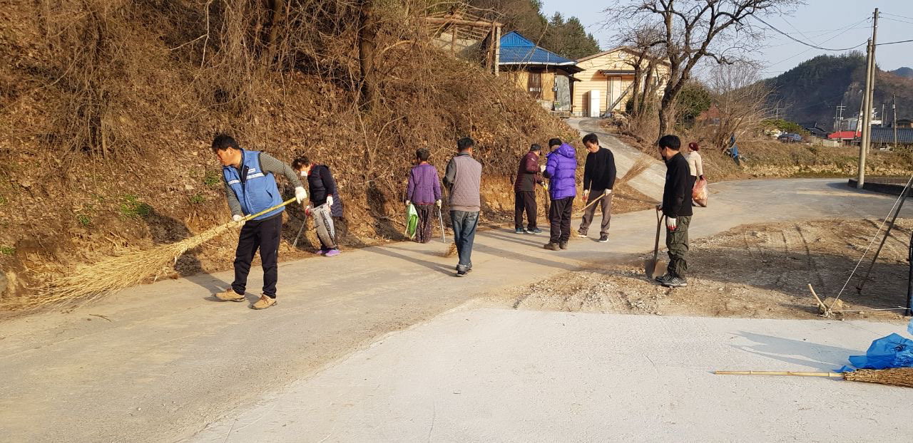 금산군 제원면 용화1리 주민들이 새봄맞이 마을 대청소를 실시하고 나무를 심었다. / 금산군 제공