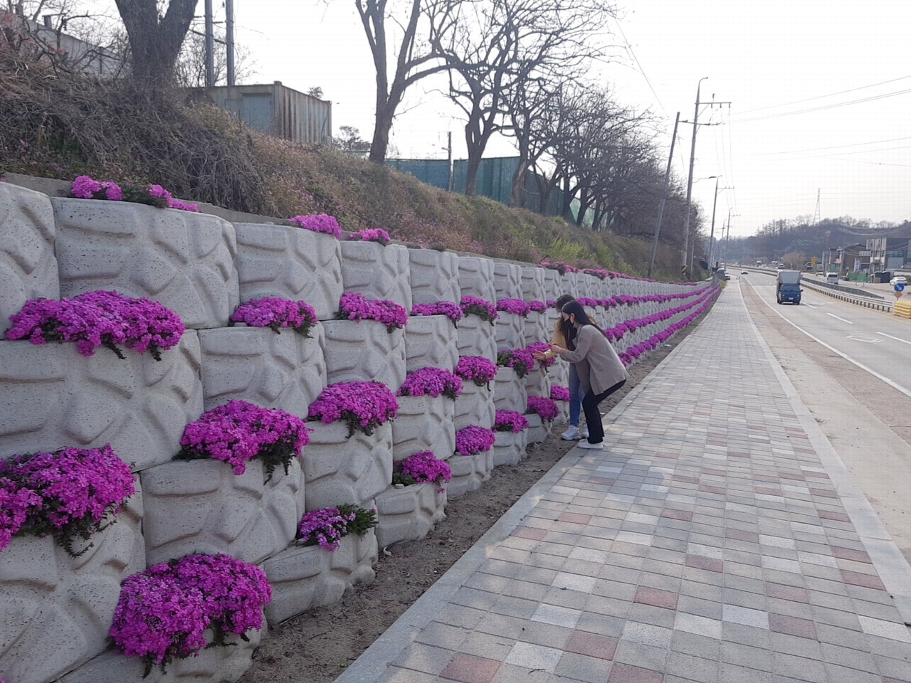 군북면 이백리 국도변 옹벽이 꽃계단으로 새롭게 단장했다. / 옥천군 제공