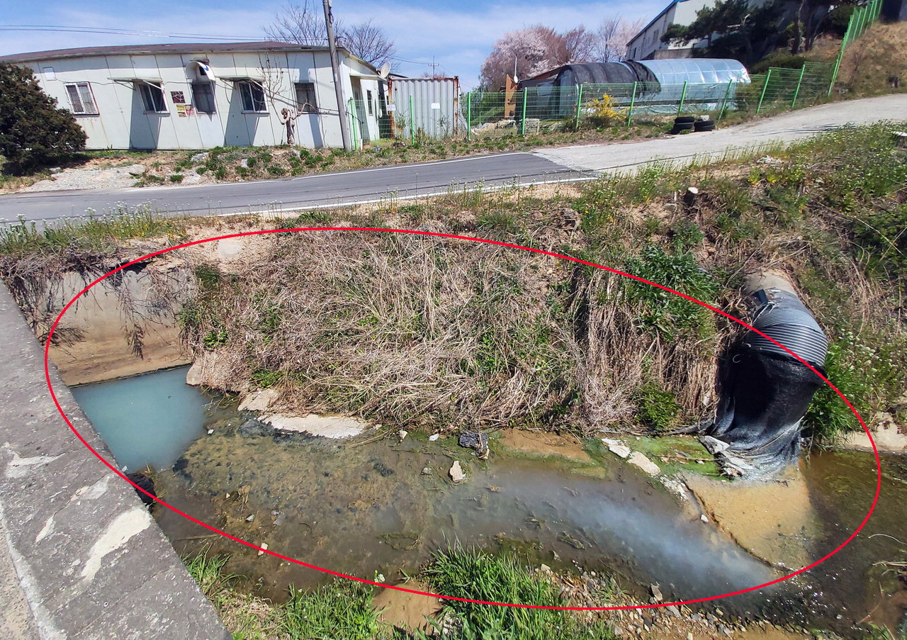13일 청주시 청원구 내수읍의 한 세탁업체에서 배출한 폐수로 마을 소하천이 희뿌옇게 물들고 있다. /신동빈