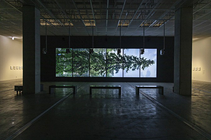 에이샤 리사 아틸라, 수평-바카수오라(2011), 설치 전경 / 국립현대미술관 제공
