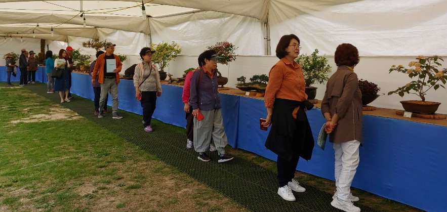 속리산들꽃사랑회 야생화 전시회가 오는 29일부터 31일까지 개최된다. 사진은 지난해 전시회 모습. / 보은군 제공