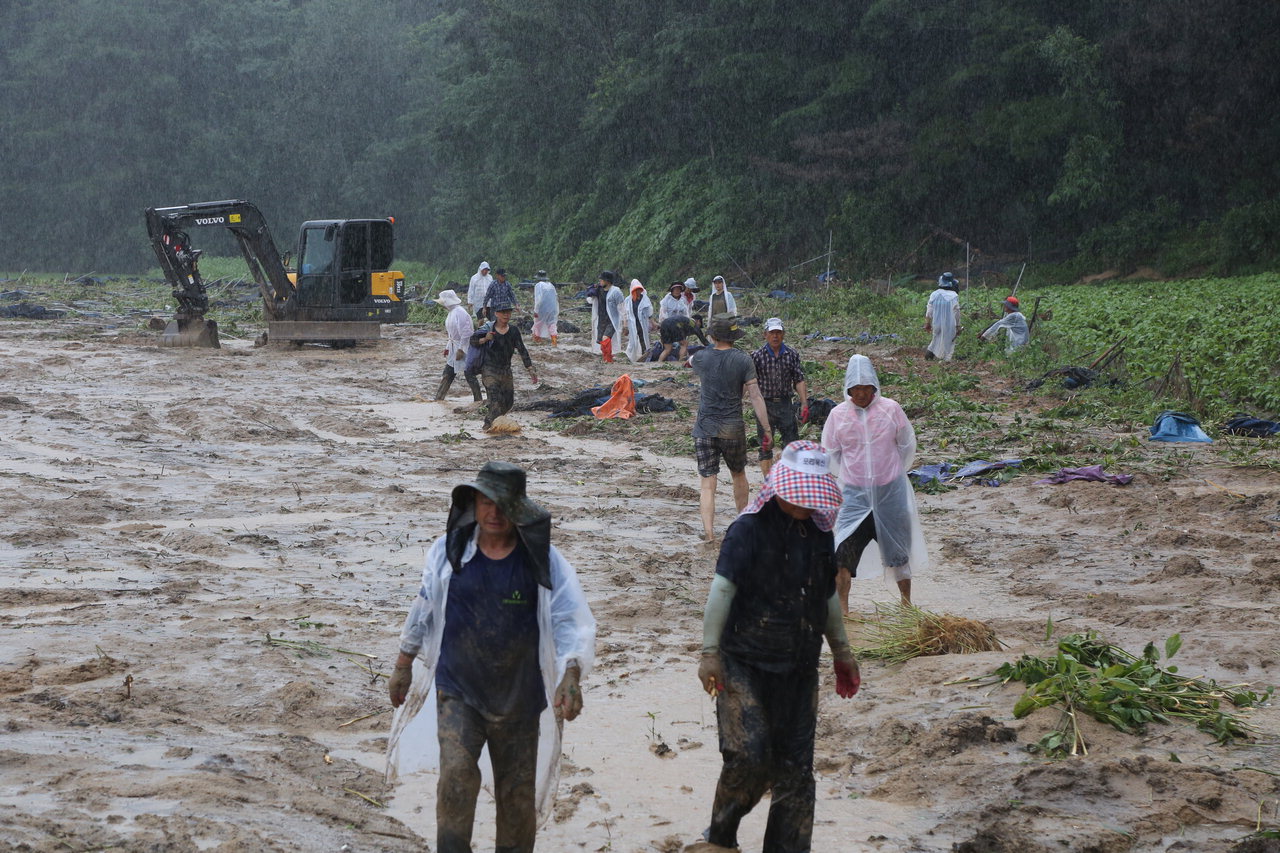금산군이 용담댐 방류로 피해를 입은 농가를 지원하기 위해 800여명의 인력을 투입했다. / 금산군 제공