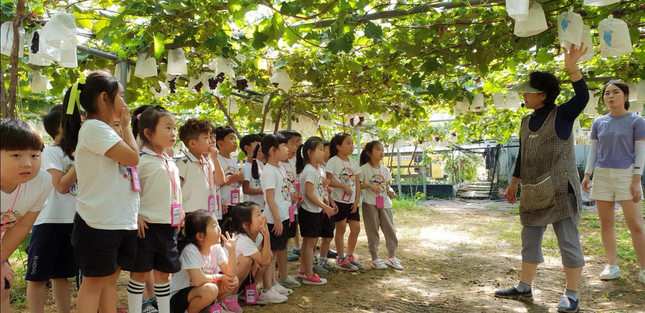 지난 하반기 진행된 어린이농촌체험교실에서 어린이들이 체험활동을 하고 있다./천안시 제공
