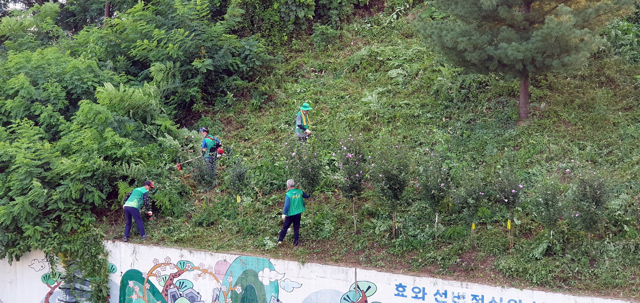 청주시 상당구 탑대성동은 24일 새마을지도자회원 10여명이 참여한 가운데 당산공원 무궁화 동산에서 잡목 정리 등 환경정화활동을 펼쳤다.