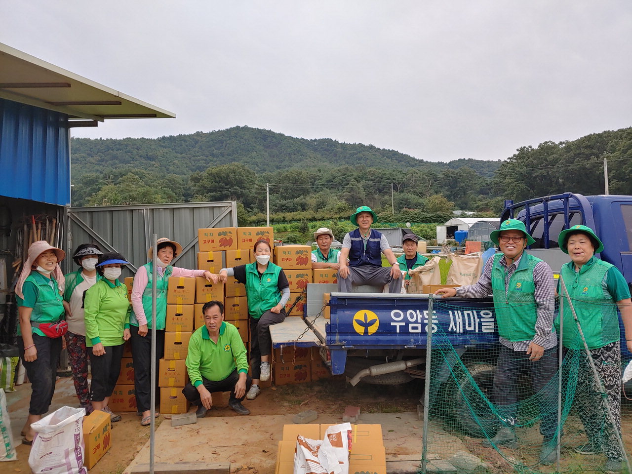 청주시 청원구 우암동새마을협의회는 지난 6일 내수읍 구성리에서 재배한 사랑의 고구마를 수확했다.