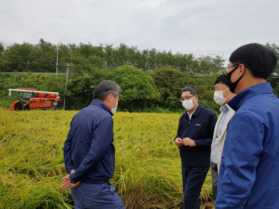 충북농협은 지난 11일 청주시 청원구 오창읍 지역의 조생종 벼 수확 농가를 찾아 작황을 살피고, 농가의견을 청취했다.