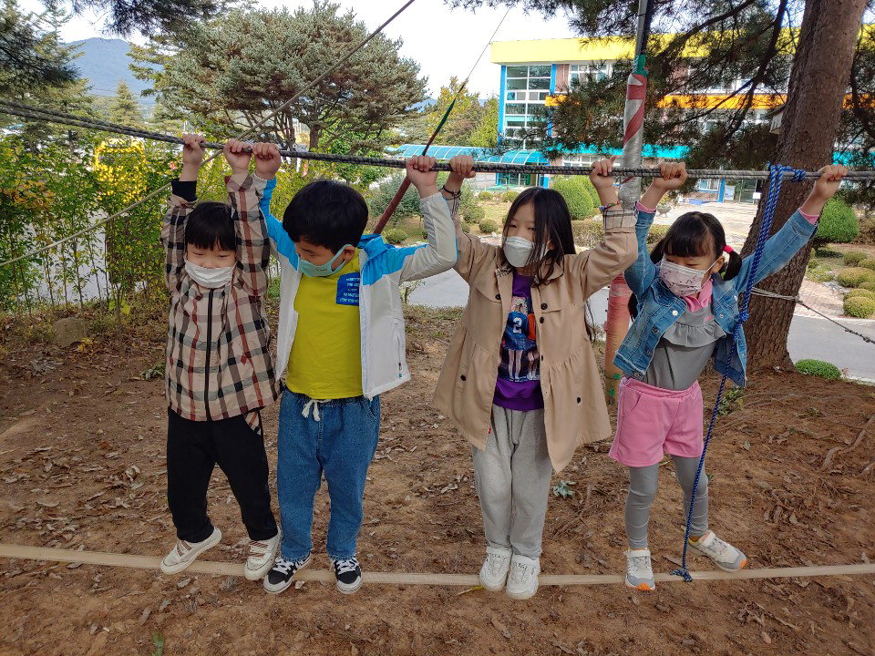 진천 구정초 학생들이 13일 자연 속에서 생명 생태놀이교육을 실시하고 있다. / 진천교육청 제공