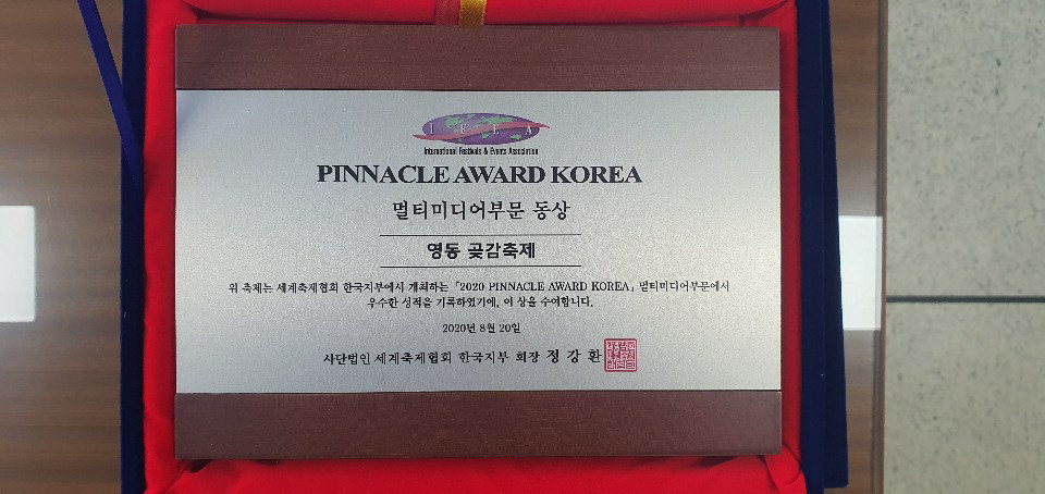 영동난계국악축제가 지난 23일 대전 ICC호텔에서에서 개최된 2020 IFEA WORLD KOREA(세계축제협회) 컨퍼런스 및 제14회 피너클어워드 한국대회에서 주요 프로그램부문 금상을 수상했다. / 영동군 제공