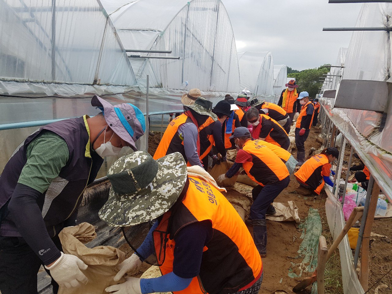 충북 의용소방대가 지난해 수해 현장을 방문, 봉사활동을 진행하고 있다. / 충북도 제공