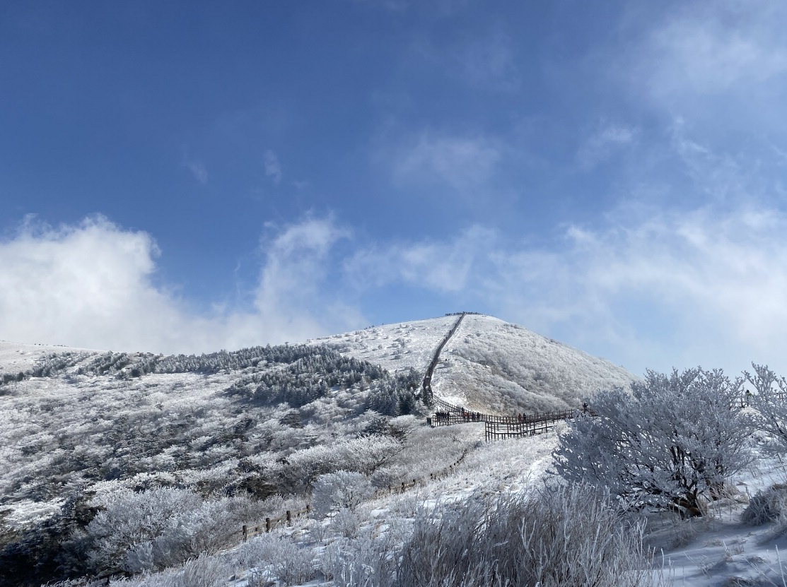 지난 18일 눈덮힌 단양 소백산 비로봉 모습. /소백산 북부사무소 제공