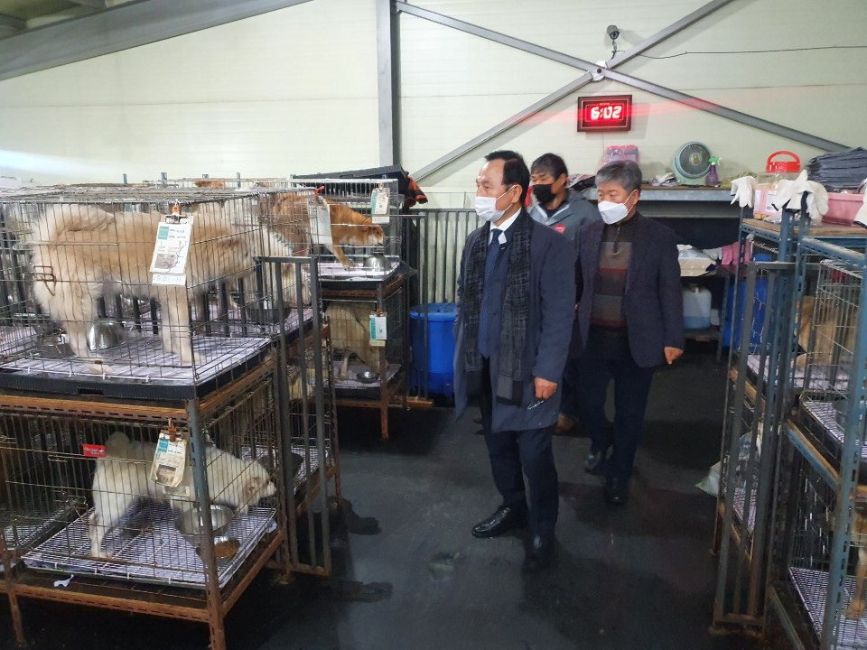 박상돈 천안시장이 지난 21일 유기동물보호소의 실태와 애로사항을 파악하기 위해 목천읍에 위치한 유기동물보호소 현장을 점검하고 있다./천안시 제공