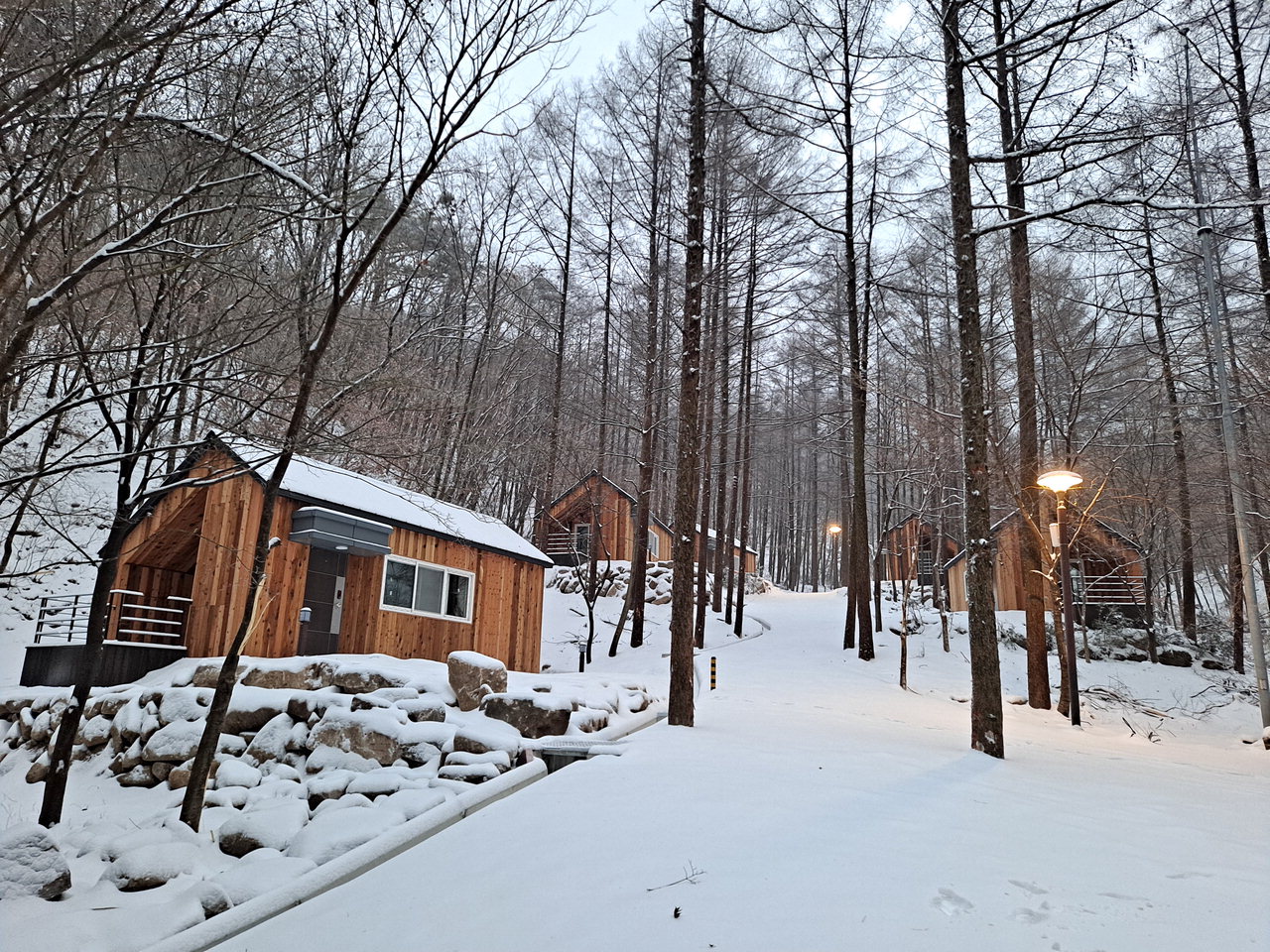 조령산자연휴양림이 23일부터 재개장한다. 사진은 휴공림 숙박동 전경. / 충북도 제공