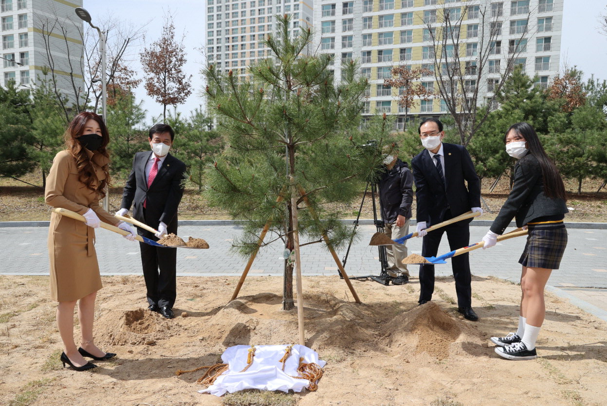 김병우 충북도교육감은 1일 서전중학교 정원에 정이품송(천연기념물 103호) 자목(子木)을 심었다. 이 나무는 정이품송 유전자 보전사업을 벌이고 있는 보은군에서 분양 받았다.