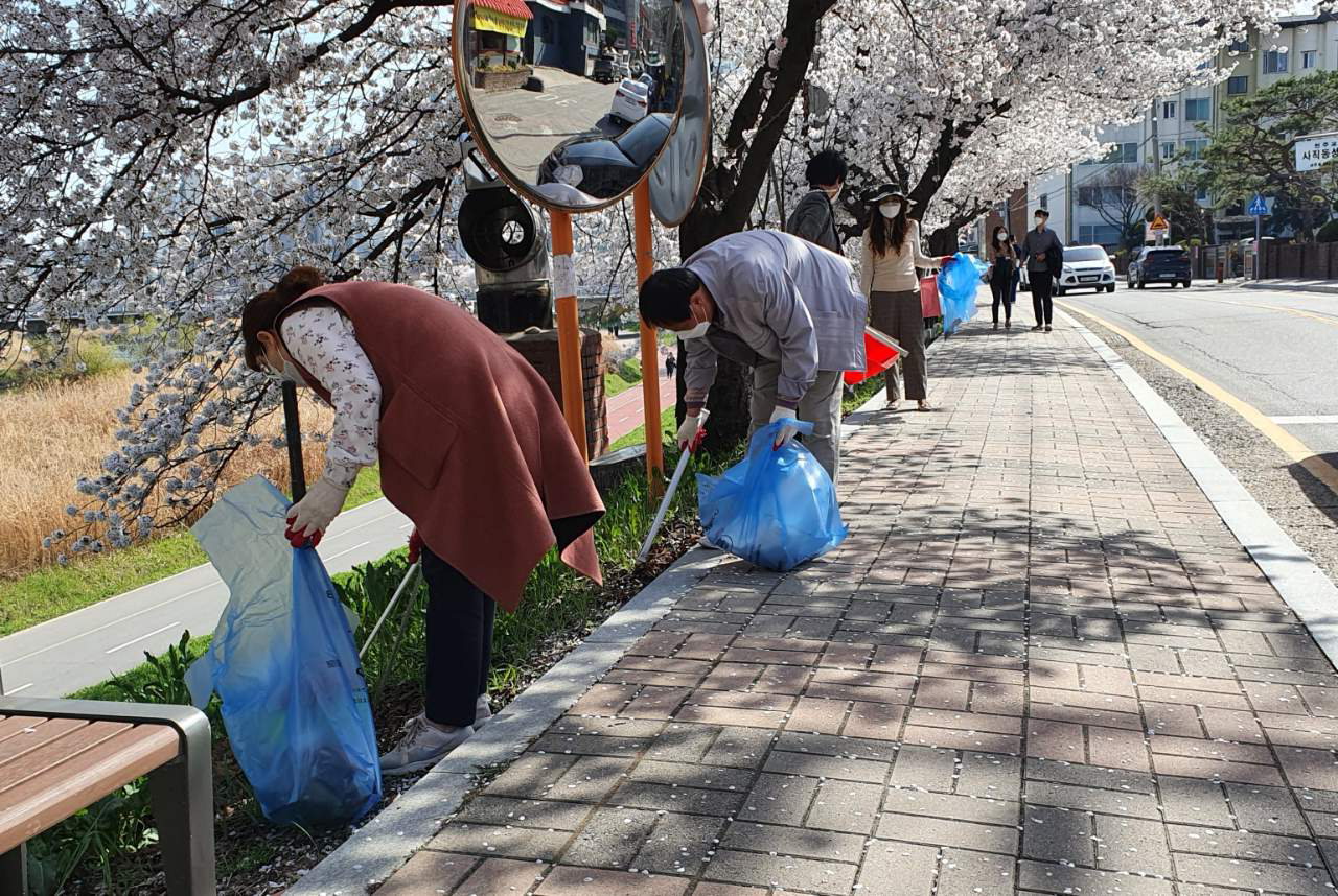 청주시 서원구 사직2동은 지난 2일 모충대교에서 청주대교에 이르는 무심서로 1㎞의 무심천 벚꽃길을 청소했다.