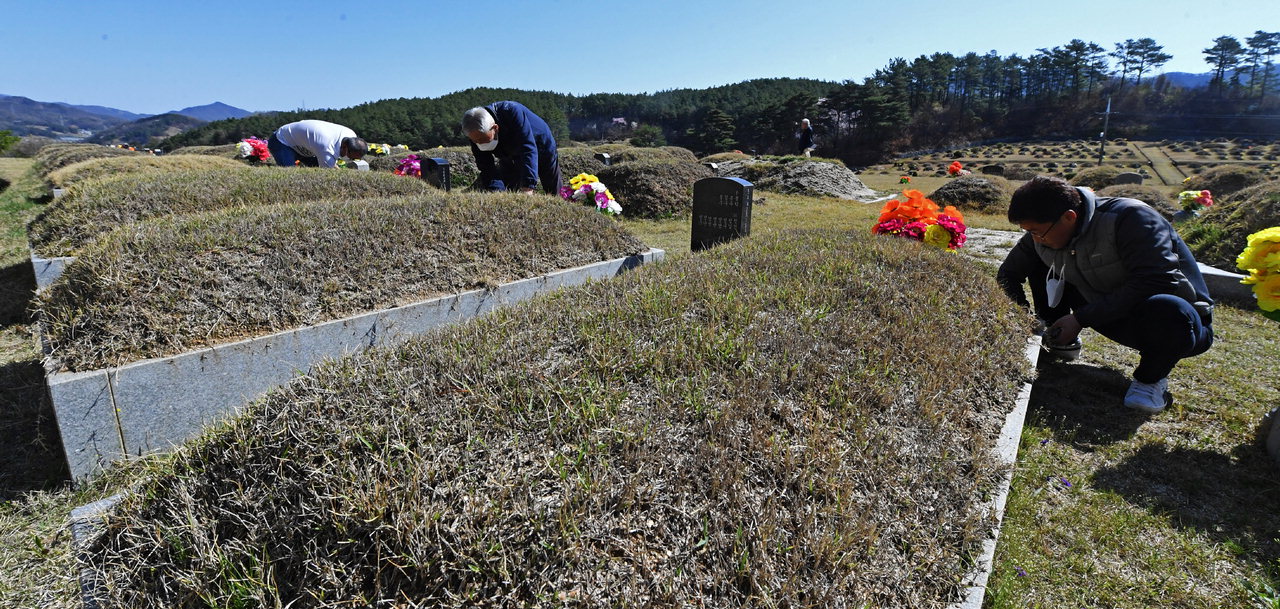 절기상 한식(寒食)인 5일 청주 가덕공원묘지를 찾은 성묘객들이 묘소를 돌보고 있다. /김명년